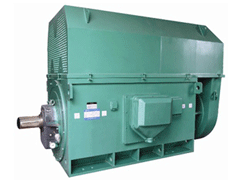 ZSN4-225-21-90KWY系列6KV高压电机